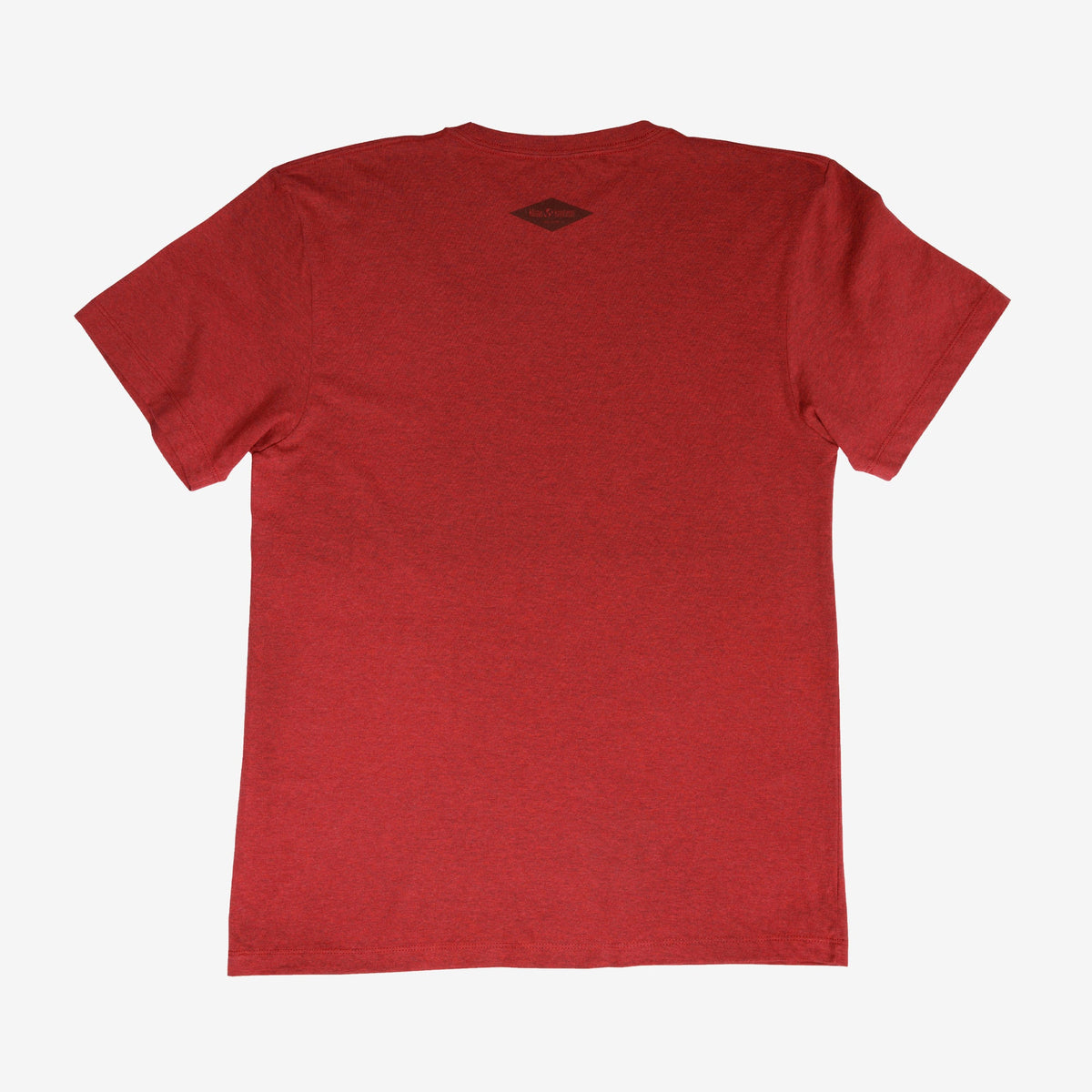 backyard-t-shirt-f4 Shirt_Mtn_Back.jpg
